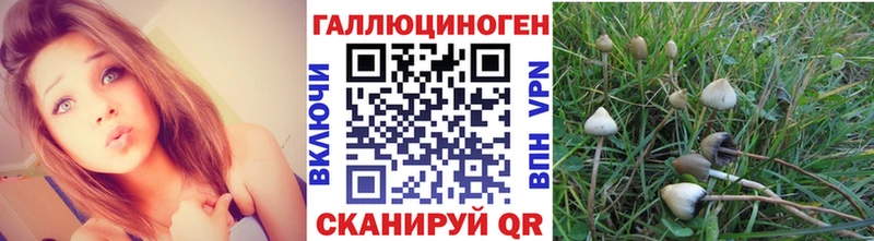купить наркотик  Красноуфимск  мориарти телеграм  Псилоцибиновые грибы Magic Shrooms 